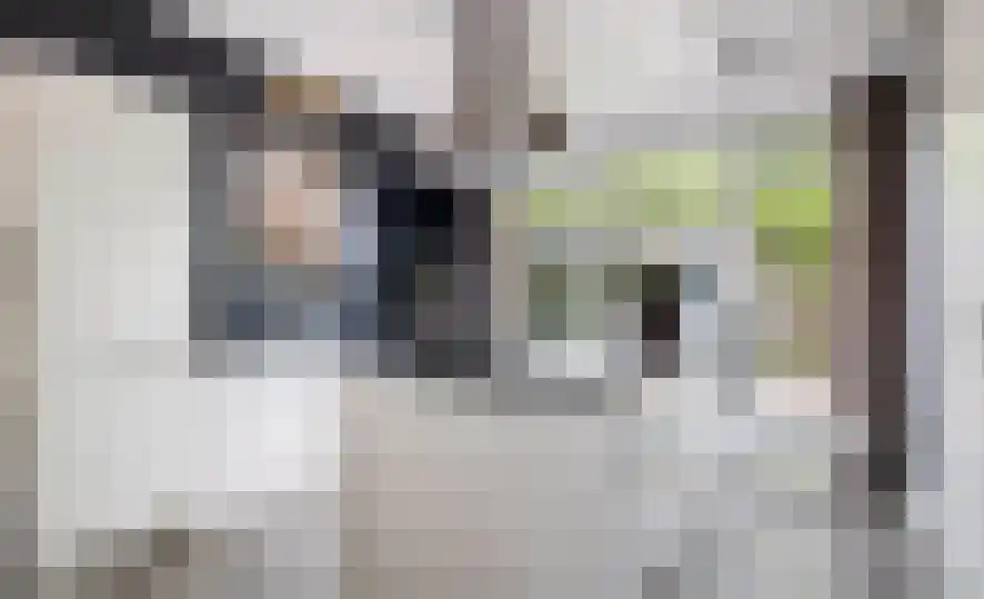 Watersnipweide Renswoude thumbnail 5