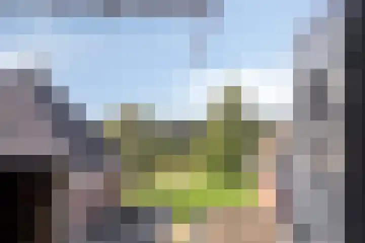 Waterspiegel 34 Wierden thumbnail 25