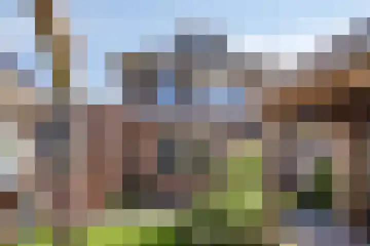 Waterspiegel 34 Wierden thumbnail 31