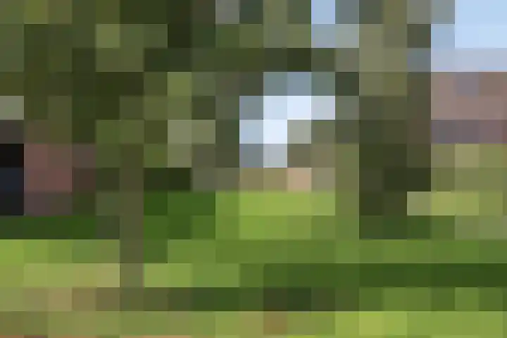 Waterspiegel 34 Wierden thumbnail 33