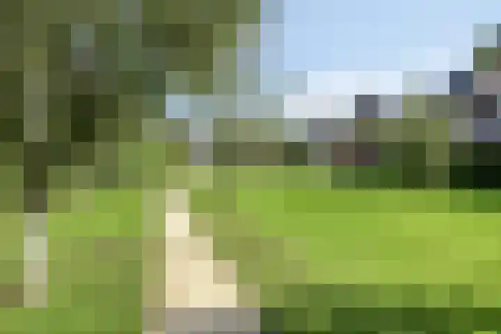 Waterspiegel 34 Wierden thumbnail 34