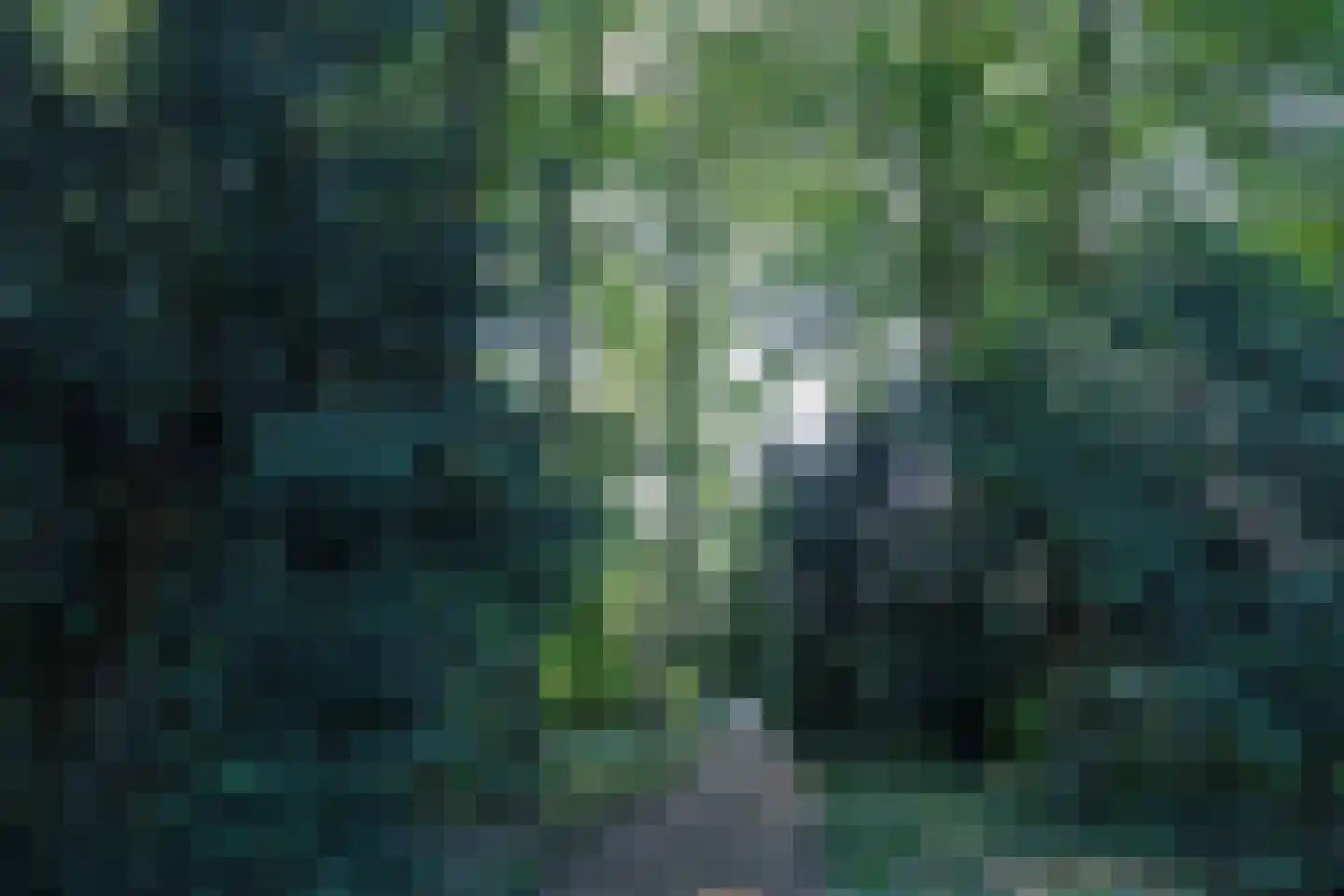 Waterspiegel 34 Wierden thumbnail 42