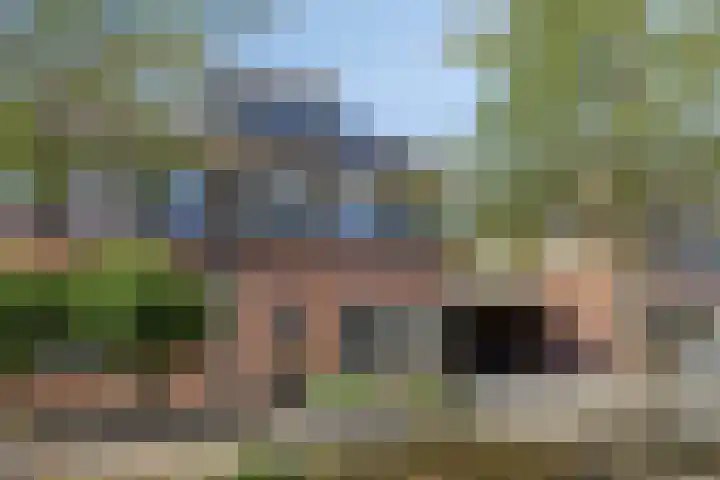 Waterspiegel 34 Wierden thumbnail 8