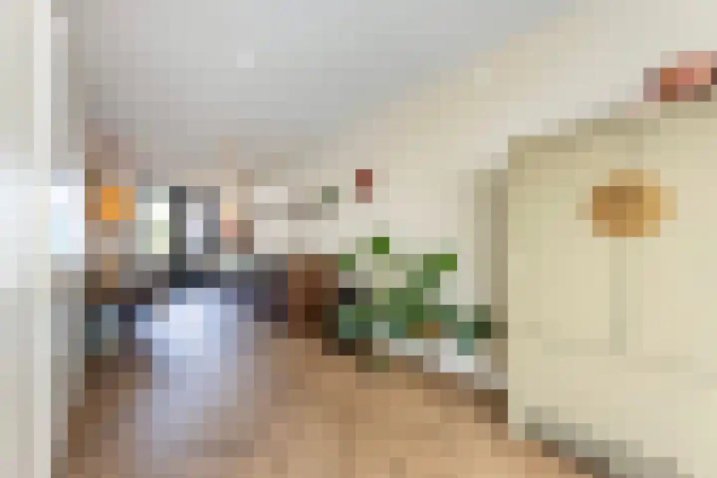 Waterspiegel 36 Wierden thumbnail 19