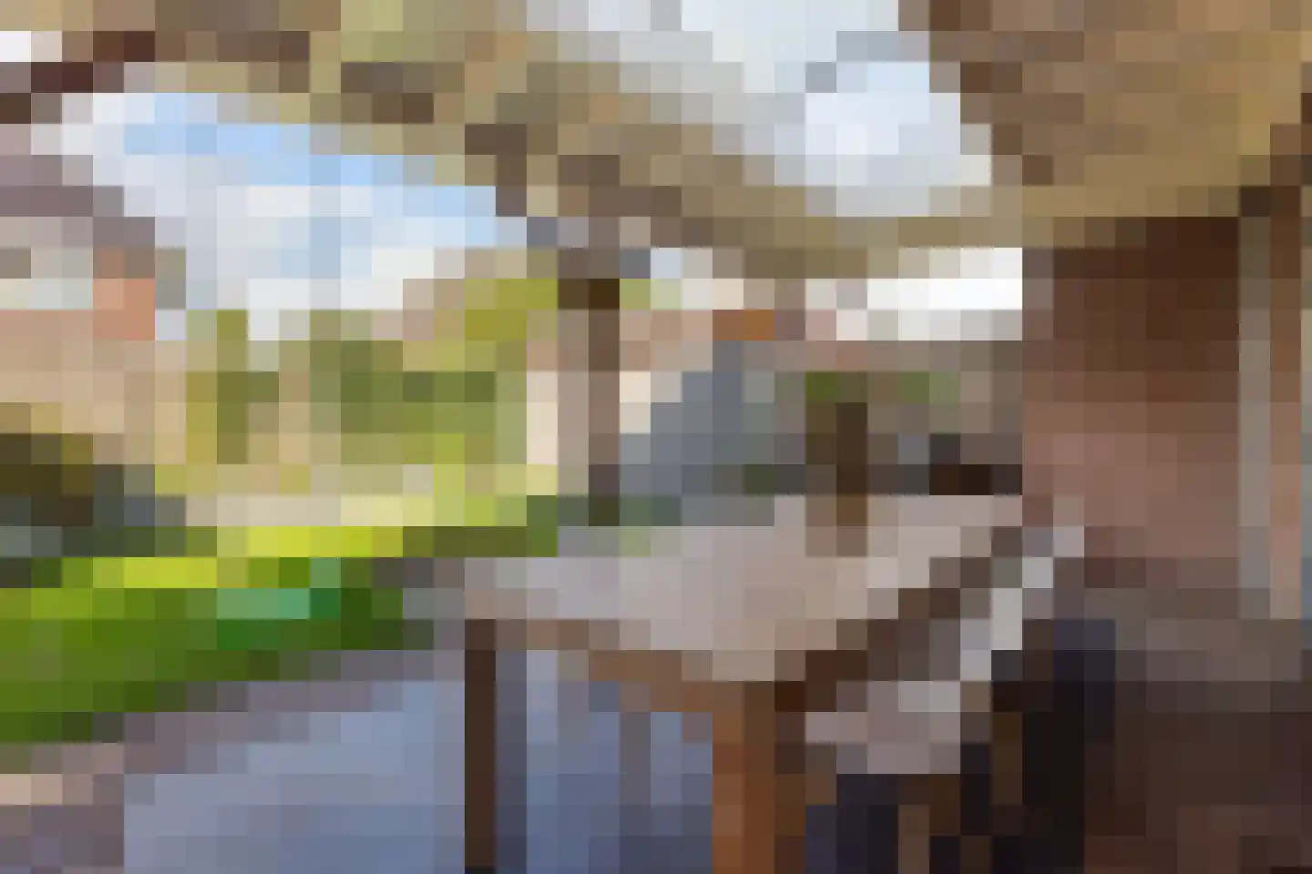 Waterspiegel 36 Wierden thumbnail 29