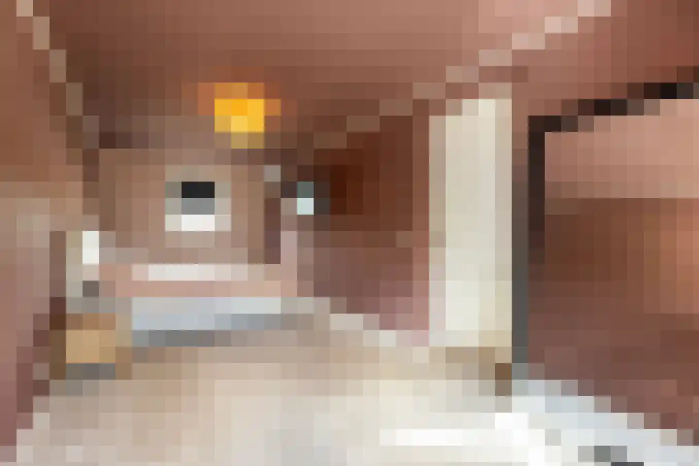 Waterspiegel 36 Wierden thumbnail 32