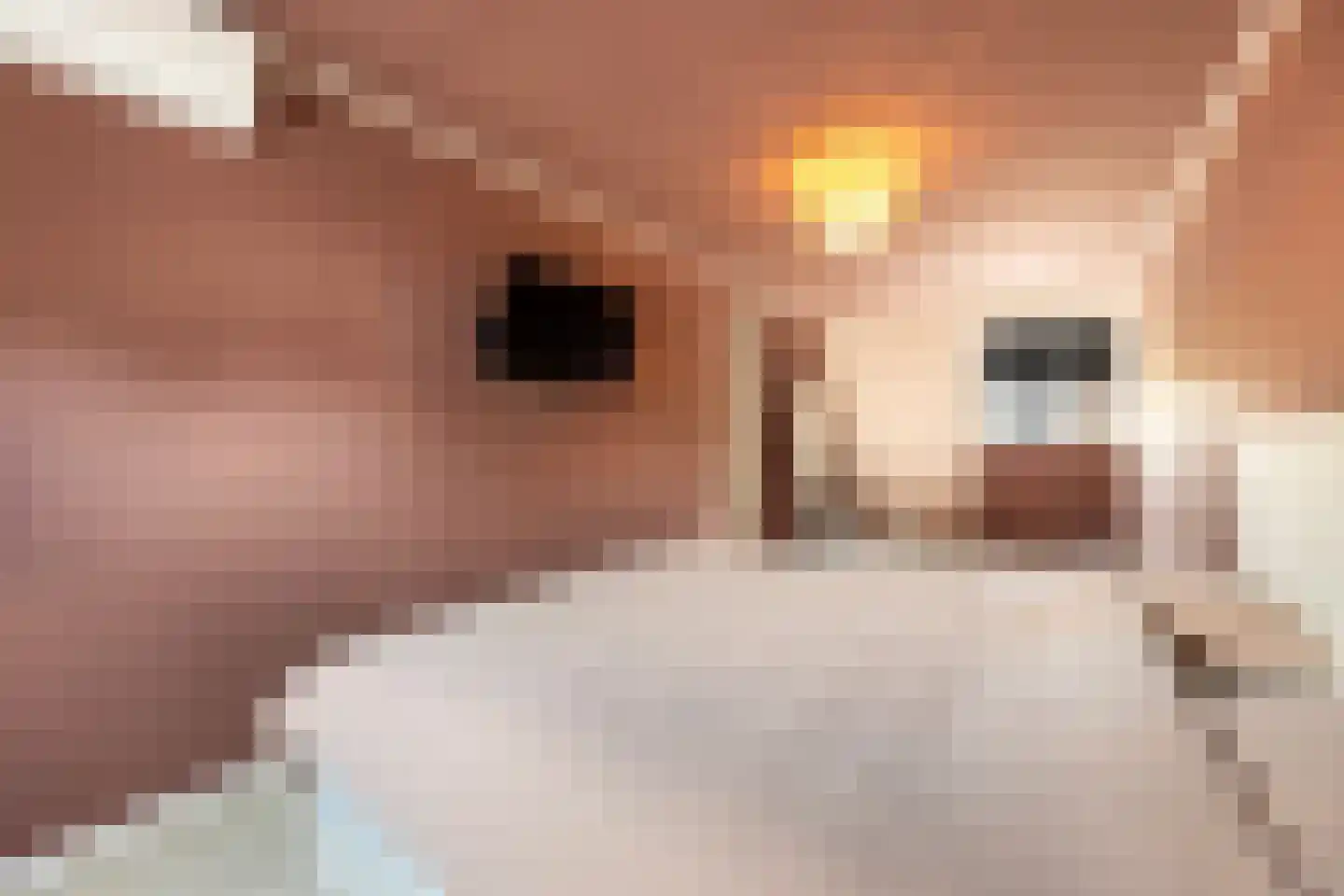 Waterspiegel 36 Wierden thumbnail 36