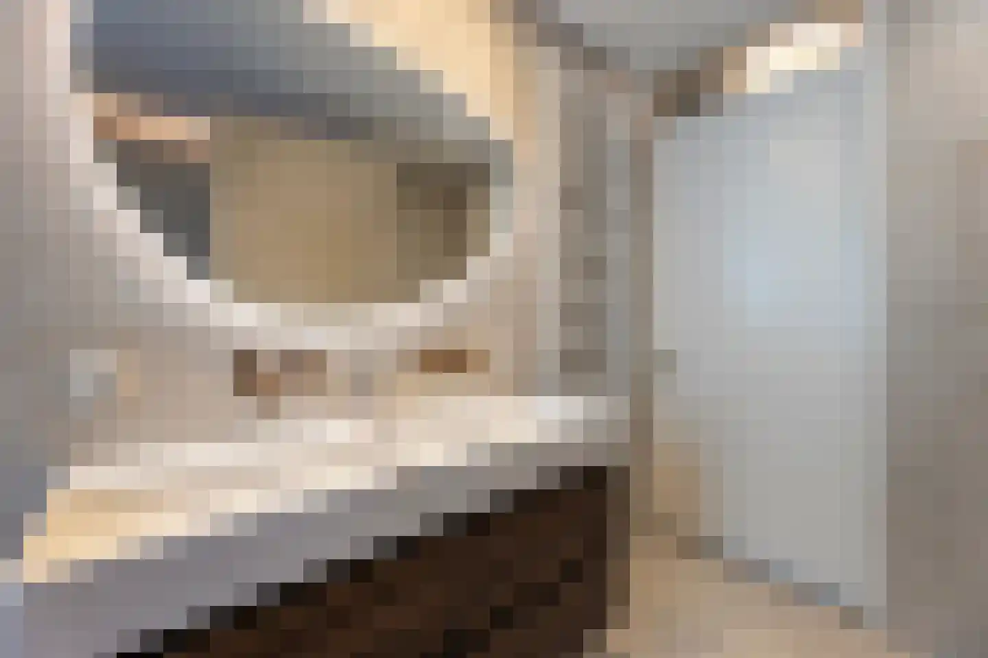 Waterspiegel 36 Wierden thumbnail 37