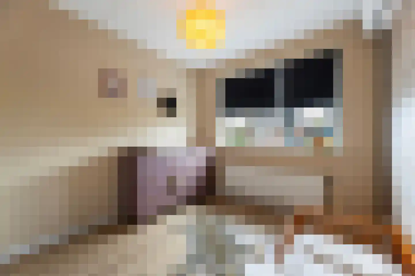 Waterspiegel 36 Wierden thumbnail 43