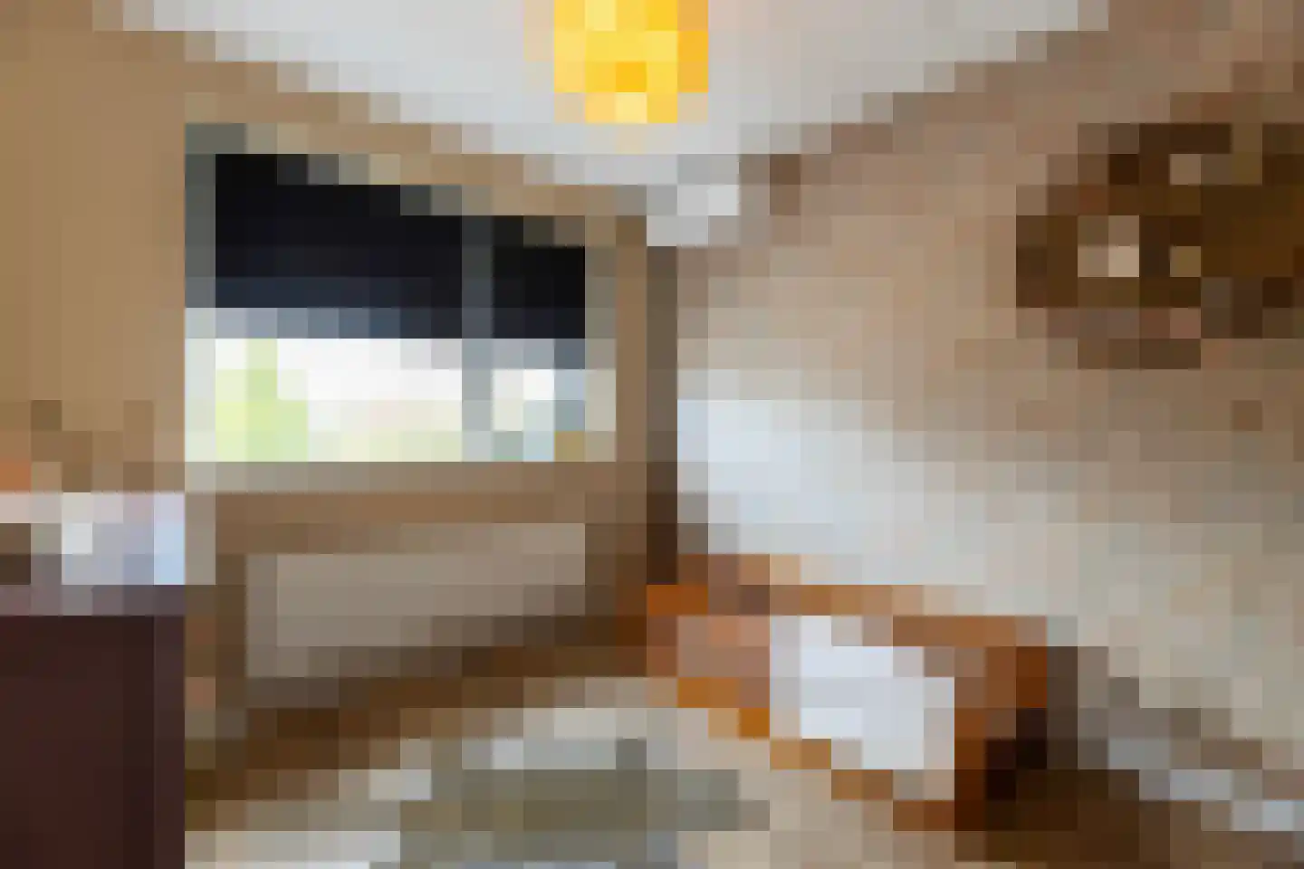 Waterspiegel 36 Wierden thumbnail 44