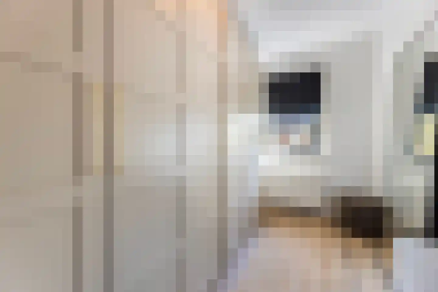 Waterspiegel 36 Wierden thumbnail 48