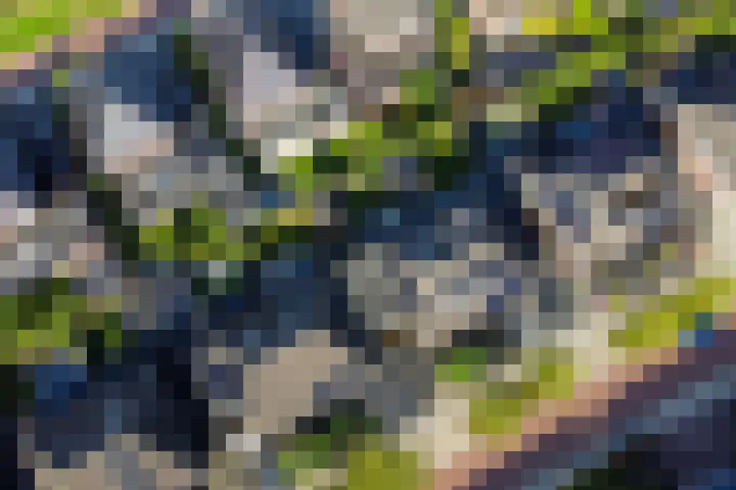 Waterspiegel 36 Wierden thumbnail 58