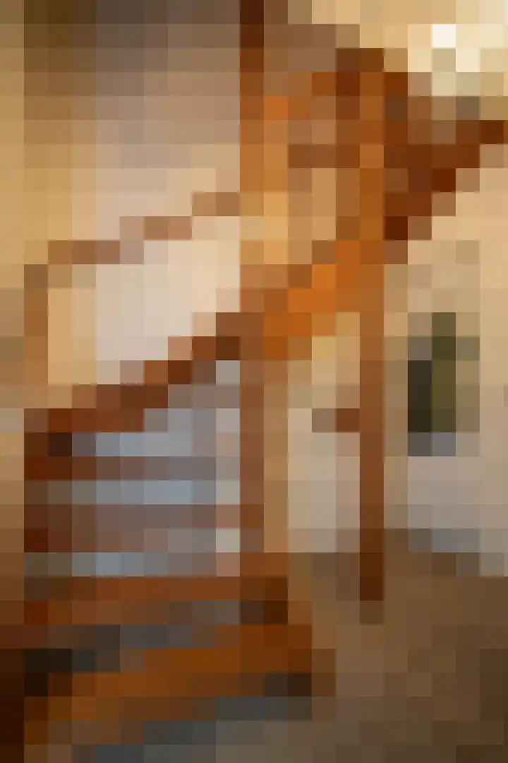 Waterspiegel 38 Wierden thumbnail 27