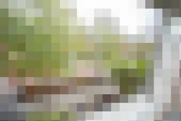 Waterspiegel 38 Wierden thumbnail 41