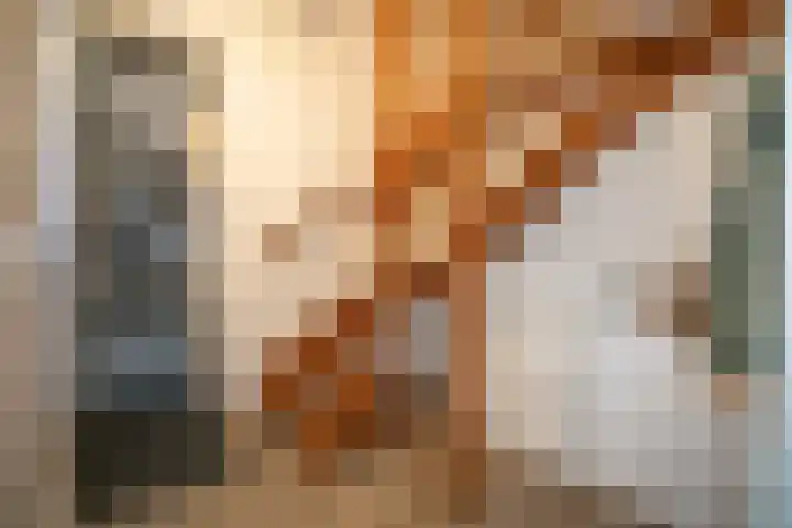 Waterspiegel 38 Wierden thumbnail 5