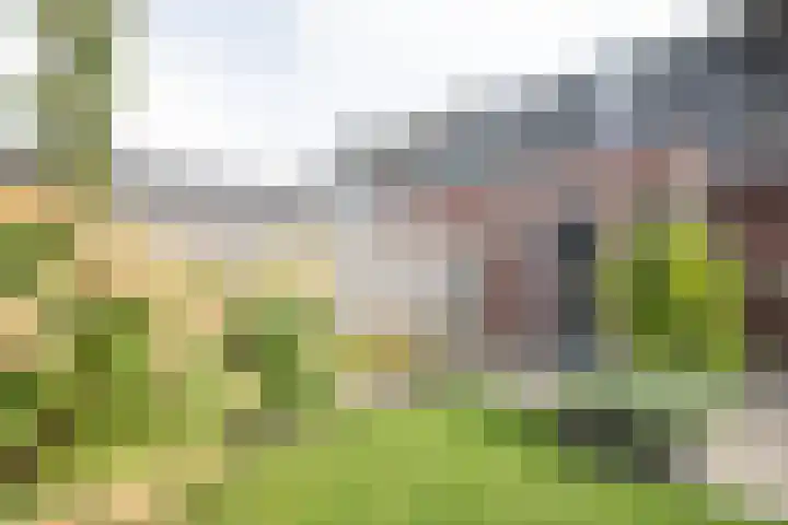 Waterspiegel 38 Wierden thumbnail 62