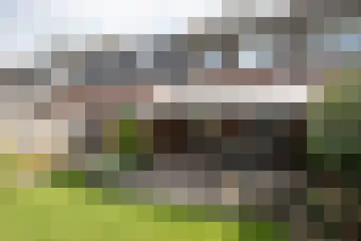 Waterspiegel 38 Wierden thumbnail 67