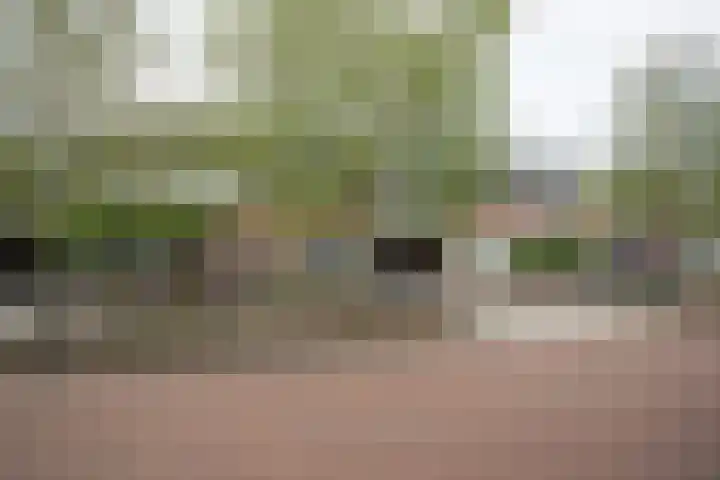 Waterspiegel 38 Wierden thumbnail 72