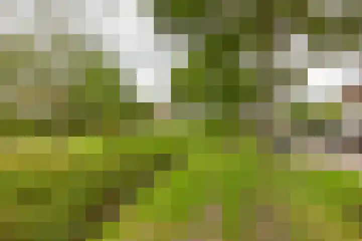 Waterspinhof 36 Den Haag thumbnail 32