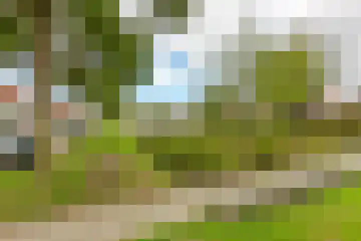 Waterspinhof 36 Den Haag thumbnail 33