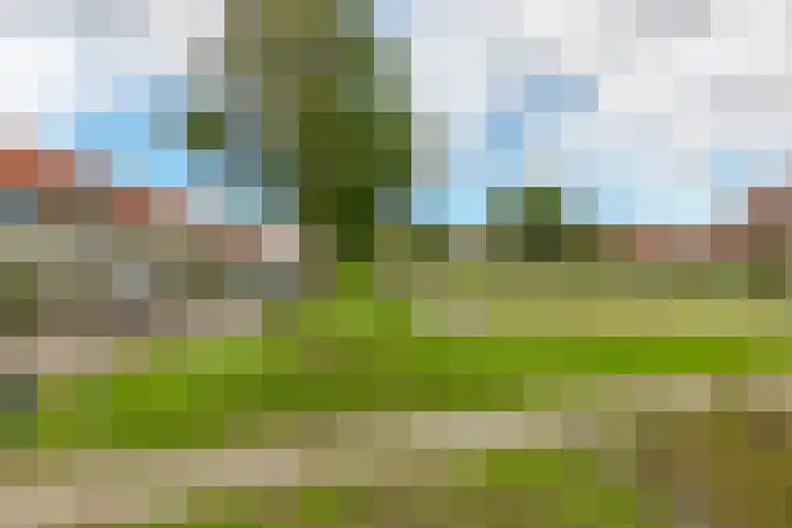 Waterspinhof 36 Den Haag thumbnail 35