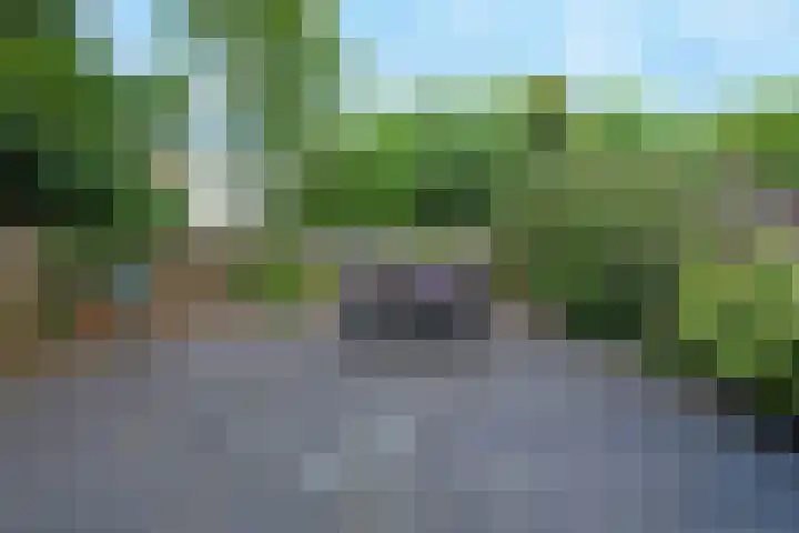 Waterspringstaart 24 Amersfoort thumbnail 30