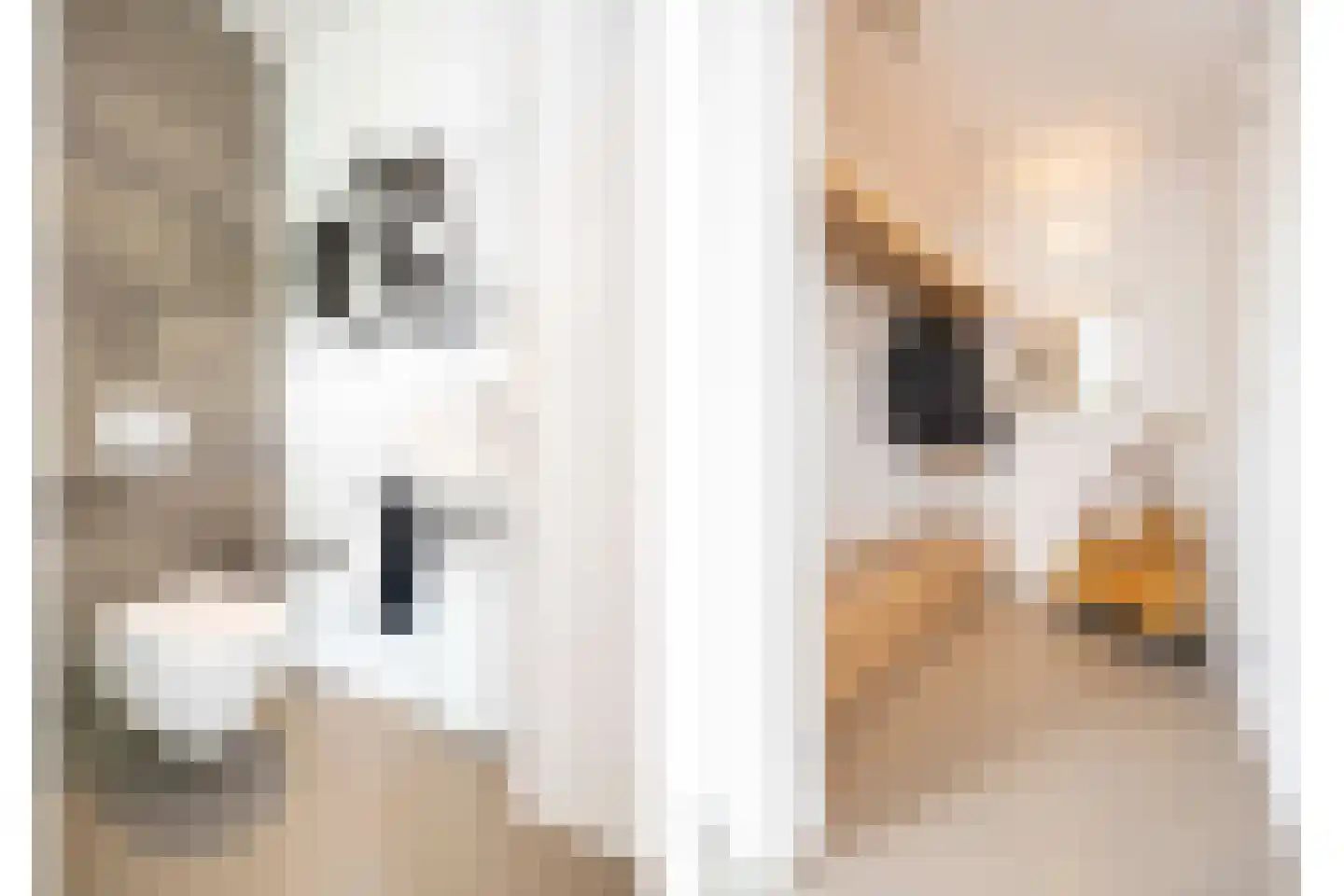 Waterstad 153 Eindhoven thumbnail 17