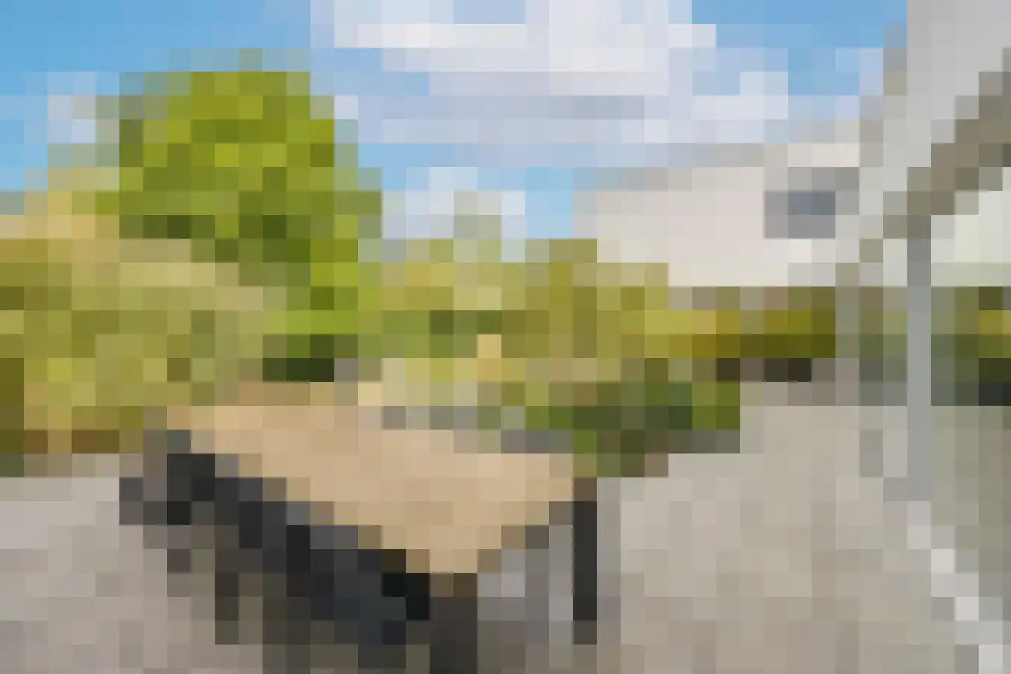 Waterstad 153 Eindhoven thumbnail 50