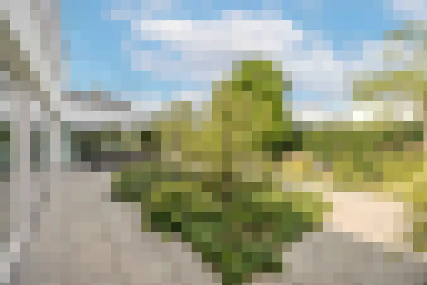Waterstad 153 Eindhoven thumbnail 53