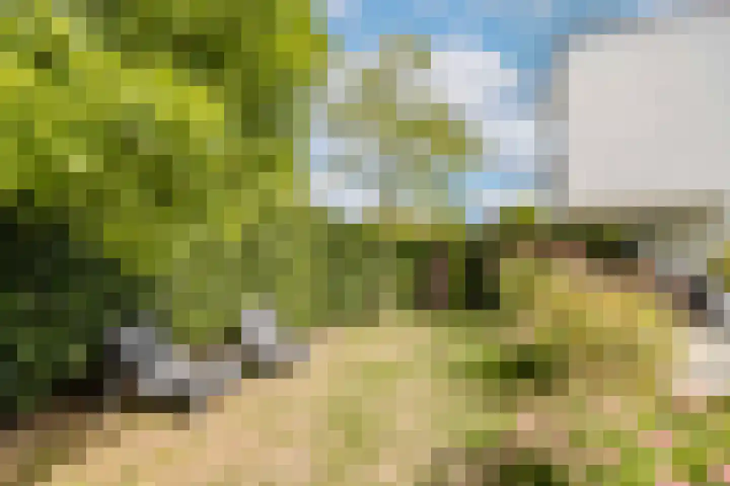 Waterstad 153 Eindhoven thumbnail 56