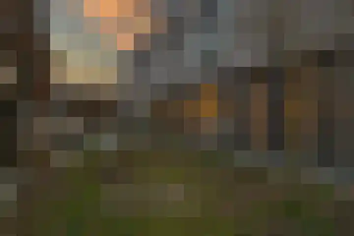 Waterstad 167 Eindhoven thumbnail 38