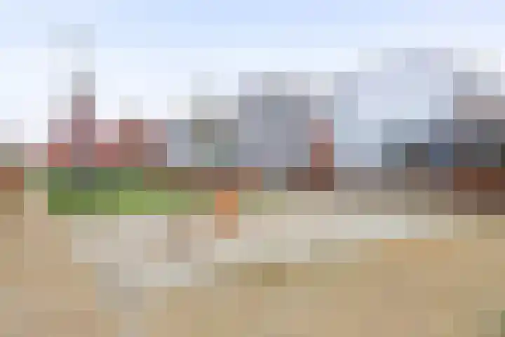 Waterstad 167 Eindhoven thumbnail 44
