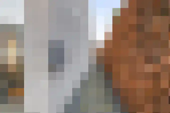 Waterstad 167 Eindhoven thumbnail 5