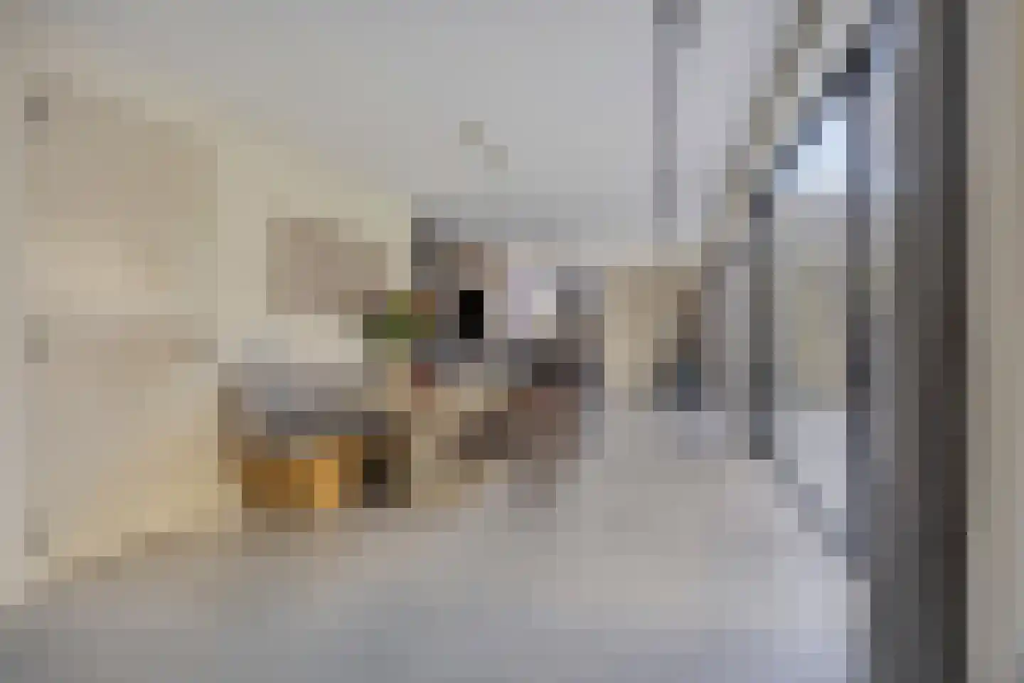 Waterstad 61 Eindhoven thumbnail 14