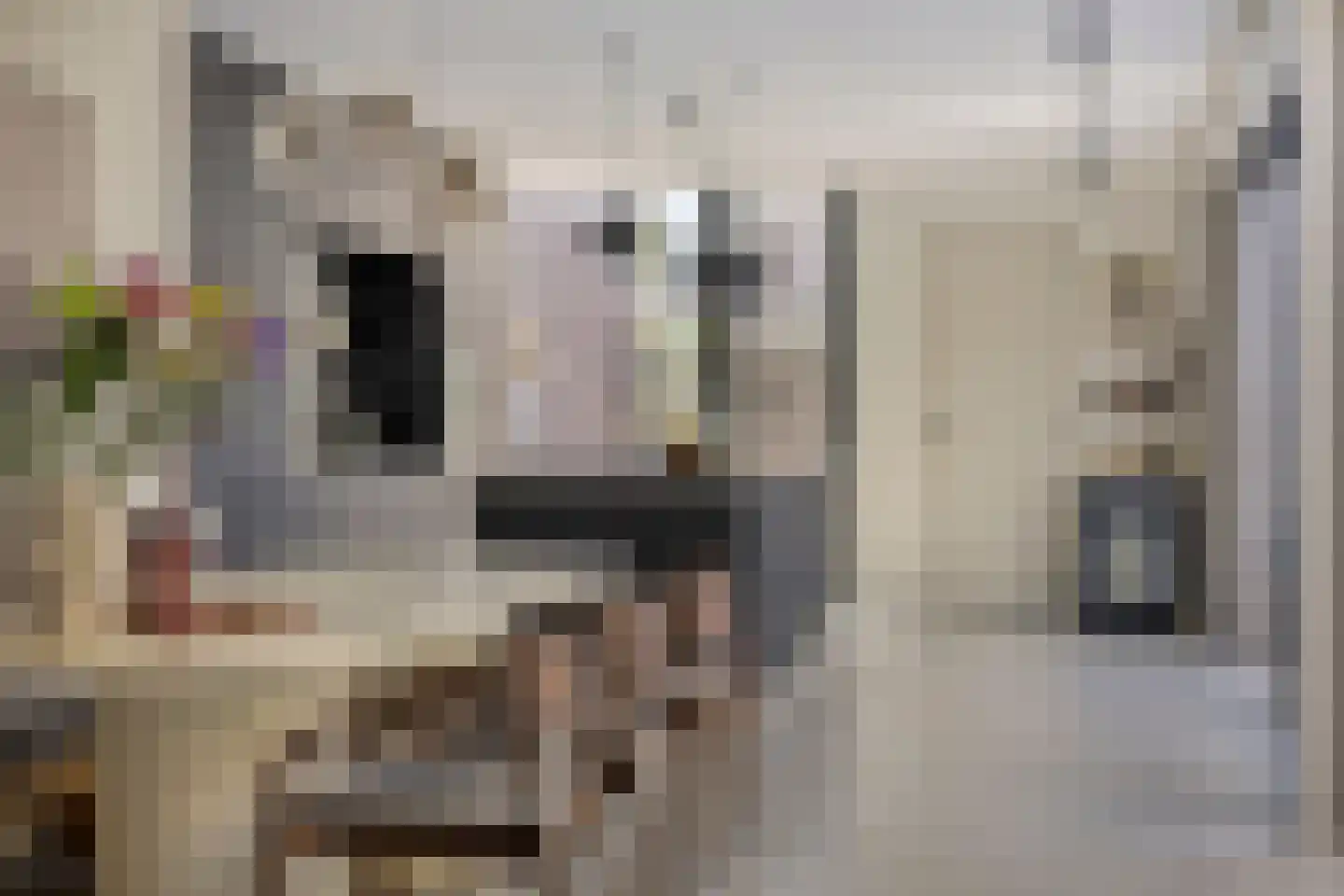 Waterstad 61 Eindhoven thumbnail 15