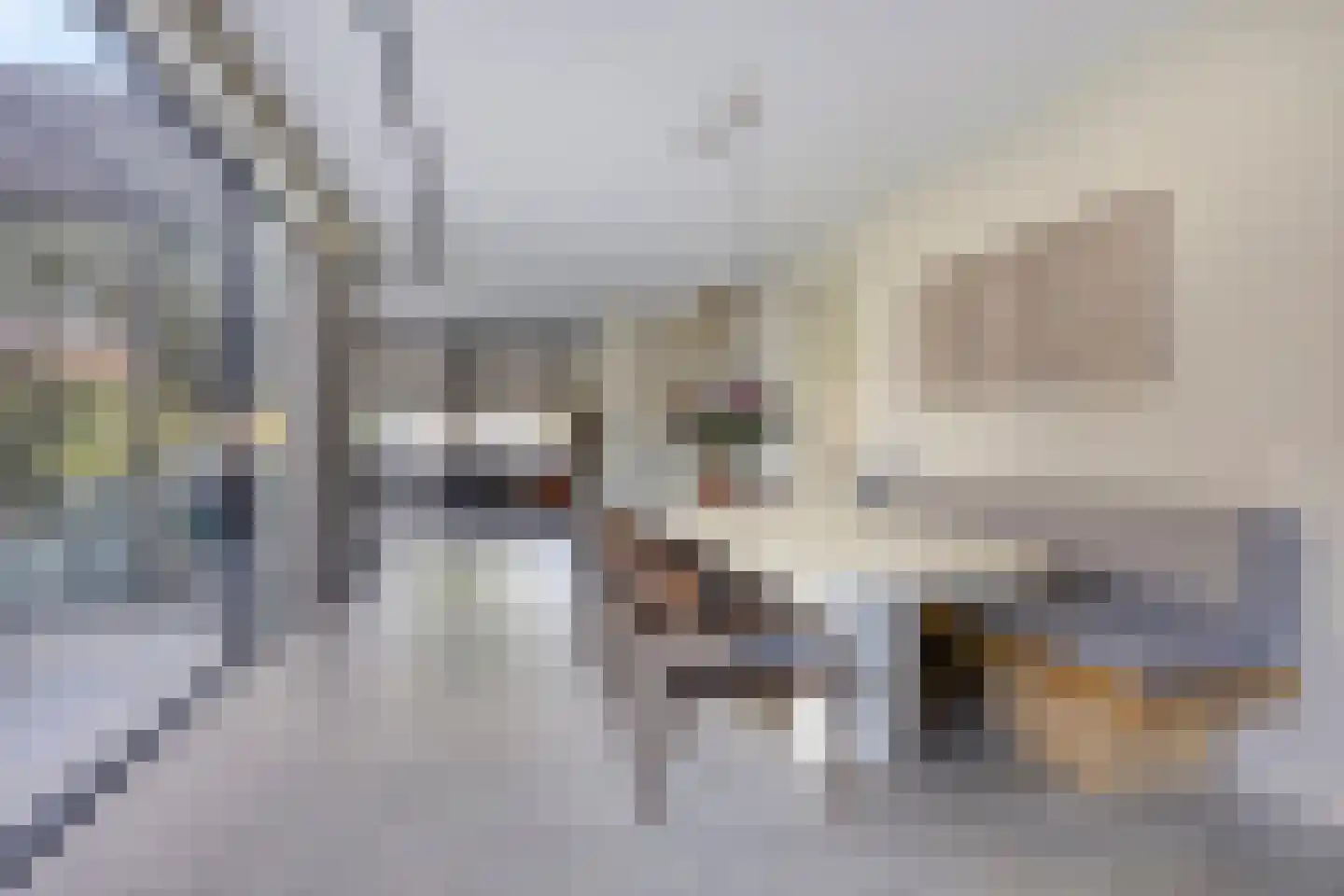 Waterstad 61 Eindhoven thumbnail 16