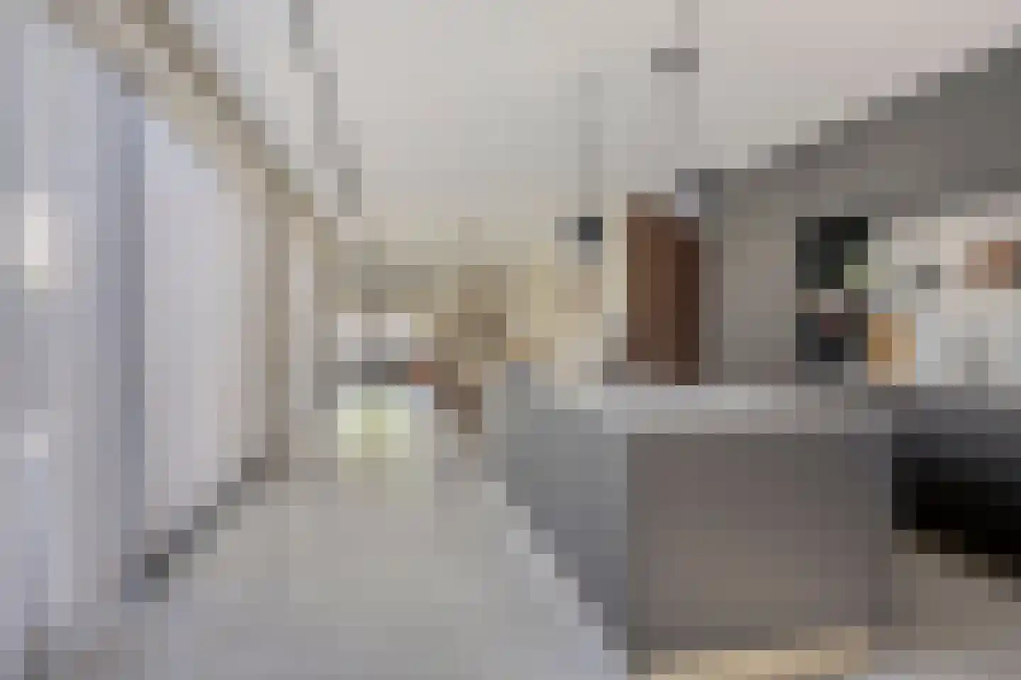 Waterstad 61 Eindhoven thumbnail 27