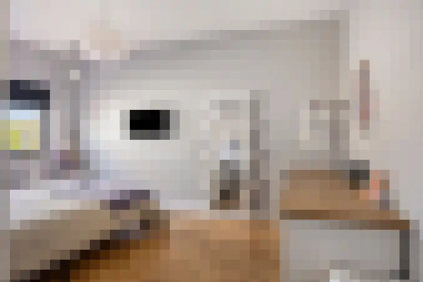 Waterstad 61 Eindhoven thumbnail 39