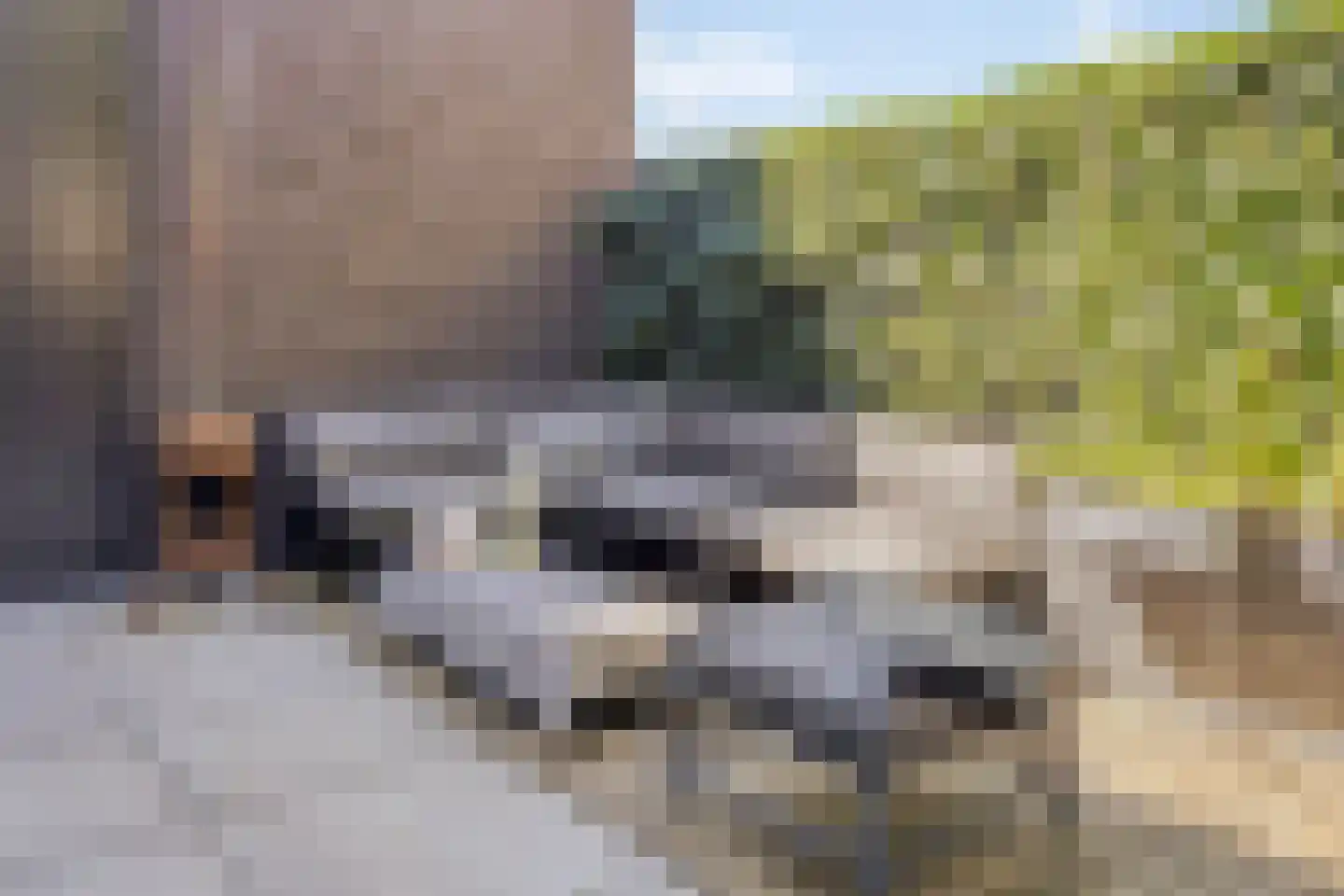 Waterstad 61 Eindhoven thumbnail 50