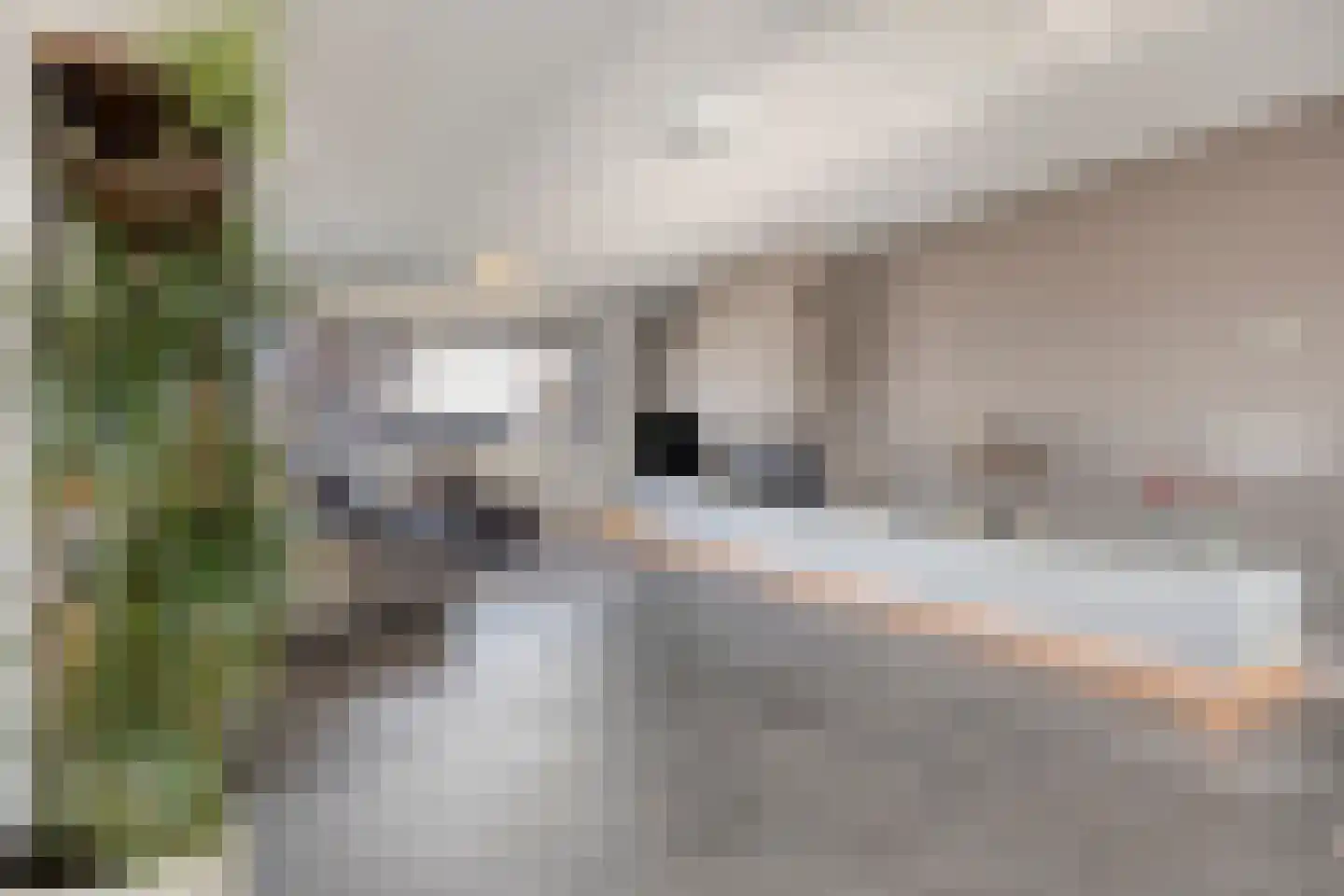 Waterstad 67 Eindhoven thumbnail 23