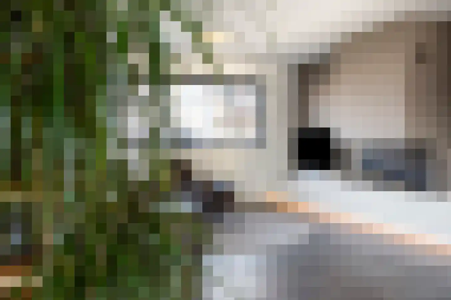 Waterstad 67 Eindhoven thumbnail 28