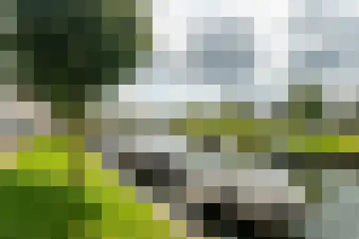 Waterstadboulevard 154 Harderwijk thumbnail 43