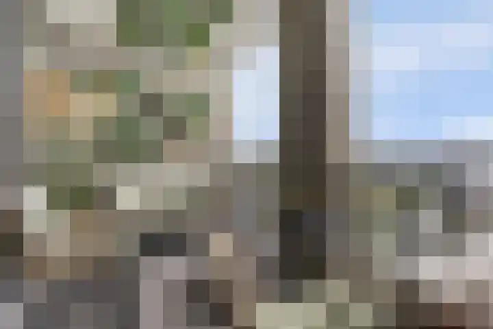 Waterstadboulevard 212 Harderwijk thumbnail 42