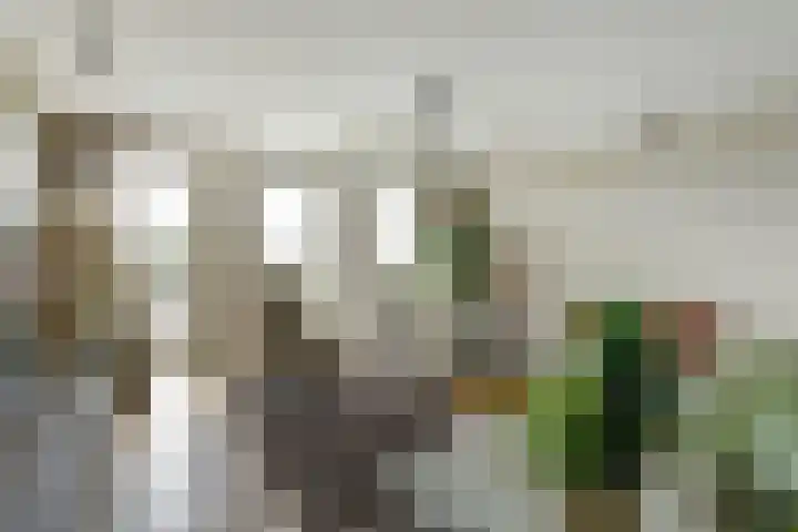 Waterstadboulevard 212 Harderwijk thumbnail 8