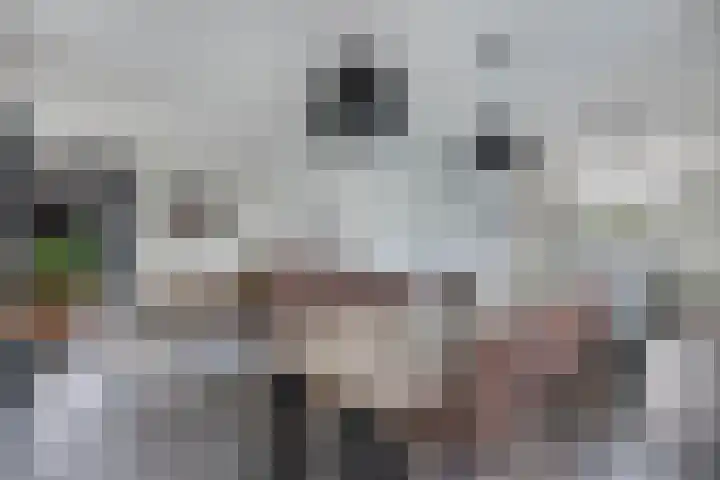 Waterstaete 2 Ossenzijl thumbnail 14