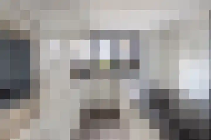Waterstaete 2 Ossenzijl thumbnail 18