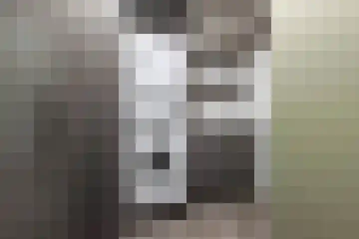 Waterstaete 2 Ossenzijl thumbnail 21