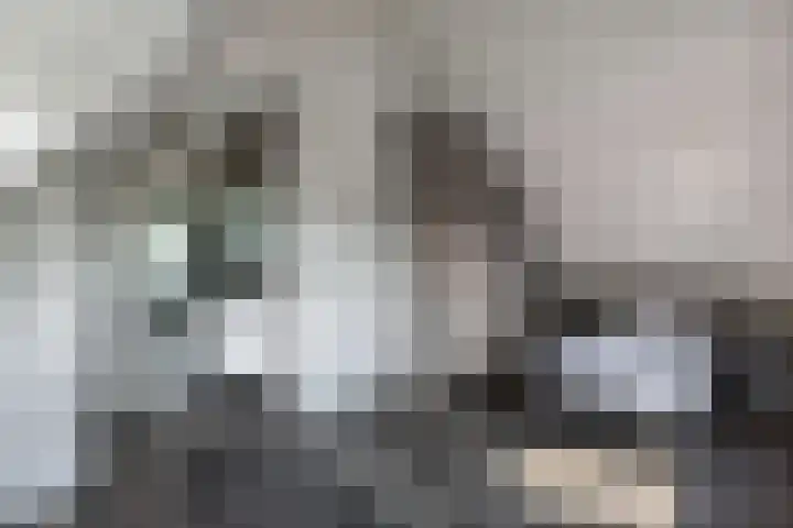 Waterstaete 2 Ossenzijl thumbnail 33