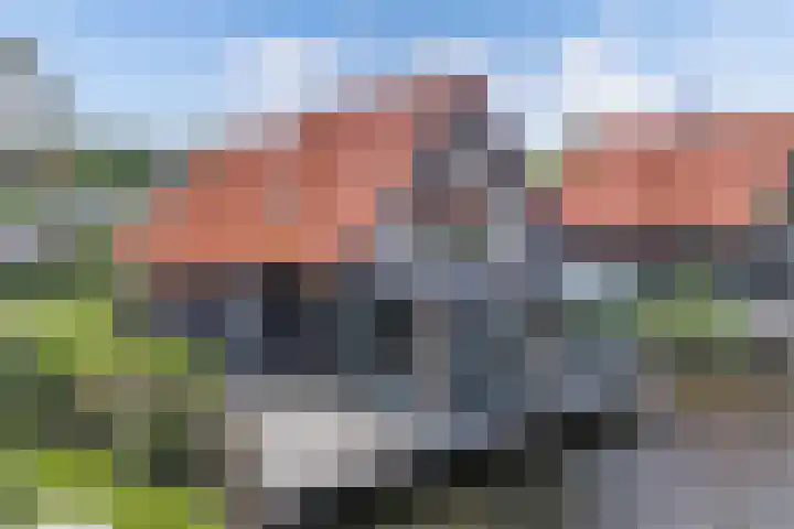 Waterstaete 2 Ossenzijl thumbnail 38