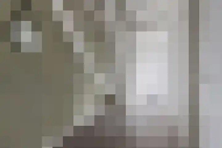 Waterstaete 2 Ossenzijl thumbnail 4